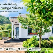 Cần Bán Nhà Đất 987m² Có Sẵn Nhà Cấp 4, Giáp Đồi Thông, Giá 4,7 Tỷ